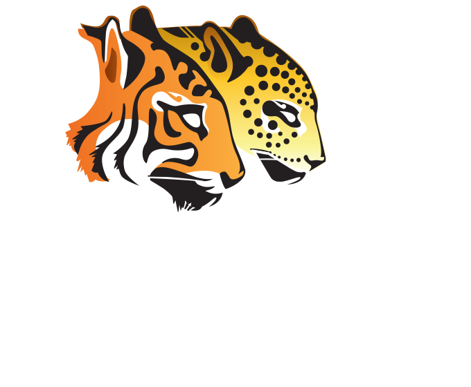 Stevendy Logo